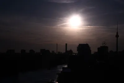 DSC_1782 (Large).JPG